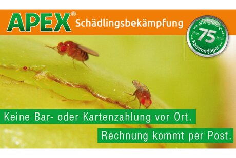 APEX Schädlingsbekämpfung aus Schwelm APEX Schädlingsbekämpfung aus Schwelm