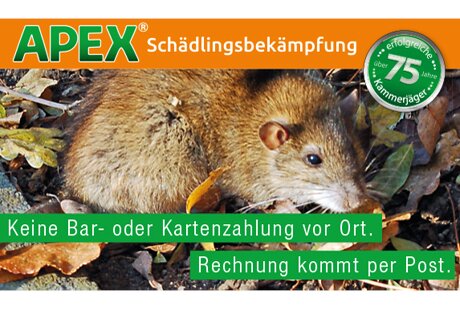 APEX Schädlingsbekämpfung aus Iserlohn