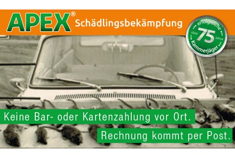 APEX Schädlingsbekämpfung aus Schwelm APEX Schädlingsbekämpfung aus Schwelm