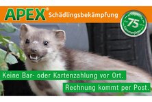 APEX Schädlingsbekämpfung aus Mülheim an der Ruhr