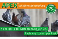 APEX Schädlingsbekämpfung aus Dorsten