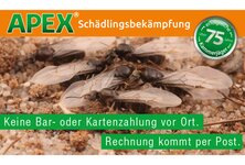 APEX Schädlingsbekämpfung aus Schwelm