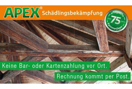 APEX Schädlingsbekämpfung aus Dorsten