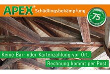 APEX Schädlingsbekämpfung aus Dorsten