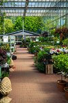 Bild 6 Garten-Center Spiering GmbH Wesel in Oberhausen