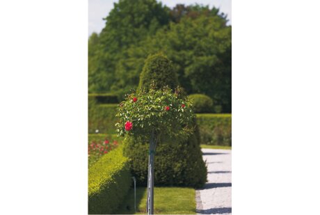 a.di.g. Dienstleistungen GmbH aus Oranienburg a.di.g. Dienstleistungen GmbH aus Oranienburg