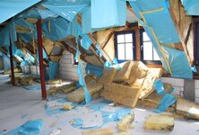 Bild 6 BVB - Schädlingsbekämpfung von A-Z Potsdam-Luckau-Burg(Spreewald) Holz- u. Bautenschutz Notdienst Tag & Nacht in Potsdam