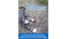 Kundenbild groß 1 Trapp SHB UG (haftungsbeschränkt) Schädlingsbekämpfung