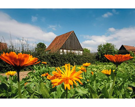 Kundenfoto 7 LWL-Freilichtmuseum Detmold