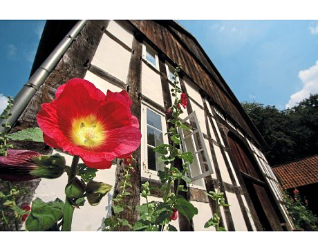 Kundenfoto 4 LWL-Freilichtmuseum Detmold