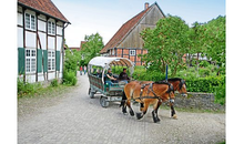 Kundenbild groß 1 LWL-Freilichtmuseum Detmold