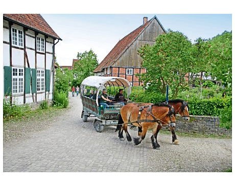 Kundenfoto 1 LWL-Freilichtmuseum Detmold