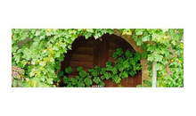 Kundenbild groß 3 Landgasthof Lell