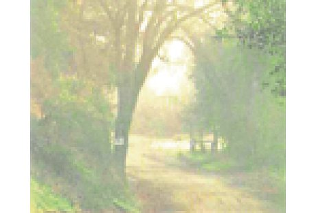 Bildergallerie Bestattung Duchewitz Bottrop