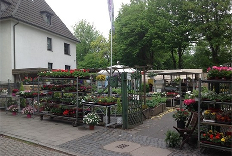Bildergallerie Gartenbaubetrieb Böhmer Inh. Kerstin Görtz Gärtner und und Floristin Essen