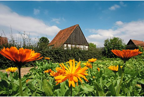 Eigentümer Bilder LWL - Freilichtmuseum Detmold Detmold