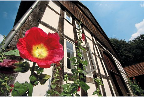Eigentümer Bilder LWL - Freilichtmuseum Detmold Detmold