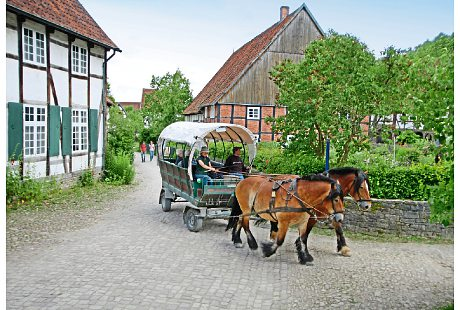 Bildergallerie LWL - Freilichtmuseum Detmold Detmold