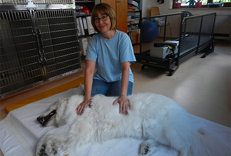 Eigentümer Bilder Praxis für Kleintiere und Tierphysiotherapie Elma Strauch Gäufelden