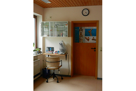 Bildergallerie Praxis für Kleintiere und Tierphysiotherapie Elma Strauch Gäufelden