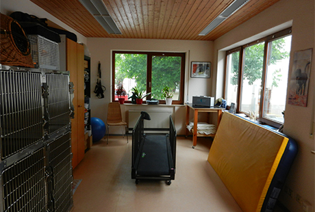 Bildergallerie Praxis für Kleintiere und Tierphysiotherapie Elma Strauch Gäufelden