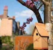 DS Smith to trial world's first compostable, water-resistant cardboard bird boxes