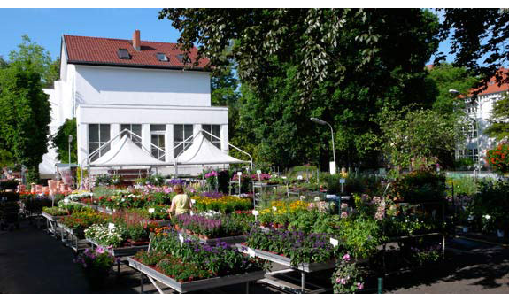 Rothe Gartenbau 14169 Berlin-Zehlendorf Öffnungszeiten ...