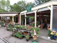 Bild 4 Lonzen & Heucher - Floristikfachgeschäft in Düsseldorf