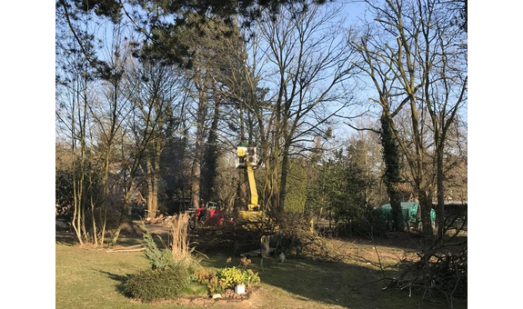 Boelmann Gartenbau Inh Fehmi Rexhepi 40474 Dusseldorf Lohausen