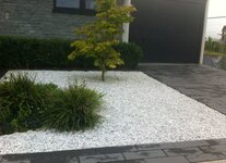 Bild 4 Rezai in Düsseldorf