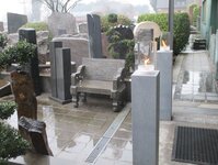 Bild 5 Wollweber in Kevelaer