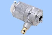 Bild 1 Kalb in Kaarst