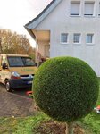 Bild 5 Clever Gartengestaltung, Inh. Ferman Güden in Bedburg-Hau