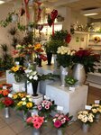 Bild 8 Weißweiler Gerd Blumen am Ring in Mönchengladbach