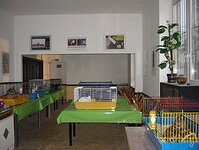Bild 5 Tierschutzverein für den Kreis Neuss e.V. in Rommerskirchen