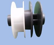 Bild 9 Kalb in Kaarst