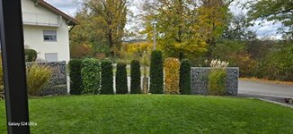 Bild 1 Maier Gartenpflege in Bayerbach