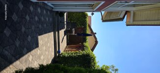 Bild 3 Maier Gartenpflege in Bayerbach