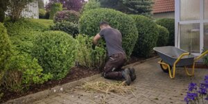 Bild 3 dk Haus- und Gartenservice in Wertach