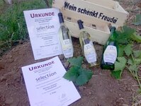 Bild 5 Weingut Scherer in Großwallstadt