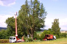 Bild 2 Jacob-Baumpflege in Fladungen