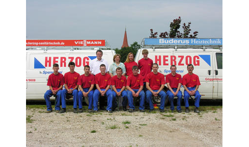 Herzog Sanitär GmbH in Göggelsbuch Gemeinde Allersberg - Logo