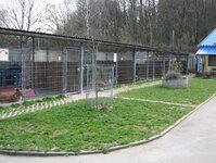 Bild 3 Tierschutzverein Erlangen und Umgebung e.V. in Erlangen