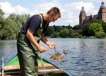 Bild 4 Grimm in Aschaffenburg