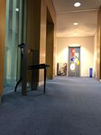 Bild 2 Wenzel in Aschaffenburg