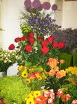 Bild 4 Blumen Handl Inh. Monika Winderl in Tegernheim