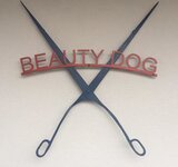 Bild 1 Beauty Dog in Schwarzenbruck