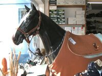 Bild 6 Happy Horse Reitsportbedarf in Coburg