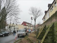 Bild 7 Döge in Nürnberg