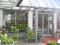 Bild 5 Bauer' s Blumen, Garten und mehr ... e.K. in Neumarkt i.d.OPf.